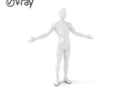 Stylized Human Male Figure with PBR Textures and Animation Co... Low-poly 3D model