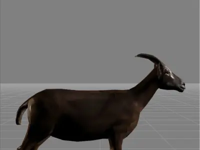 Goat v1 Low-poly 3D model