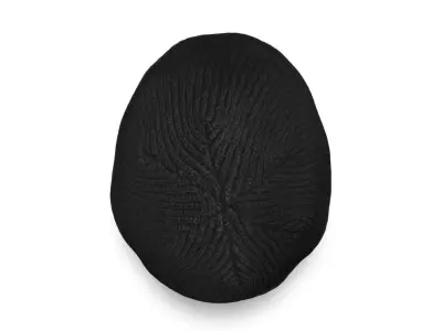 Black Beanie Low-poly 3D model