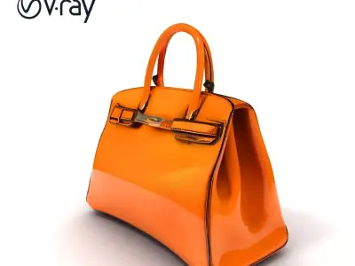 Luxury Handbag D Model Pack Low-poly 3D model