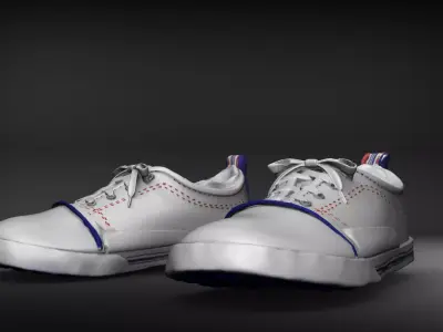 Topper canvas sneakers- Print Model 3D 3D print model