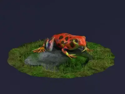 Jungle frogs poison dart frogs rainforest frogs Amphibians 3D model