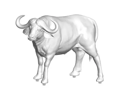 Buffalo 3D model