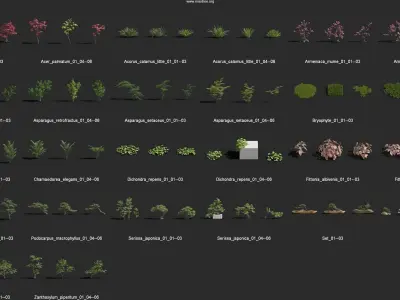 Maxtree Plant Models Vol 78 - Mesh 3D model