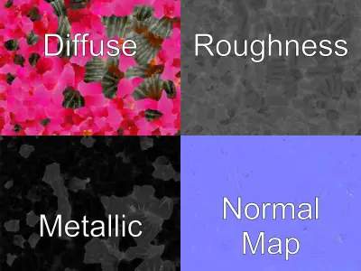 Echinopsis Spherical Cactus Pink Flower model pack Low-poly 3D model