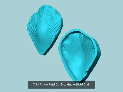 03 Tulip Flower Petals - Molding Artificial EVA Craft 3D Model Collection