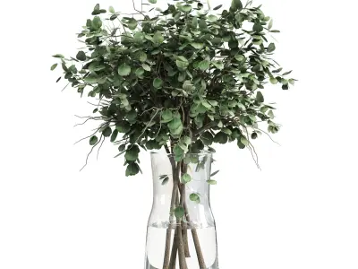 Collection Green Plants Bouquet Indoor 11 Low-poly 3D model