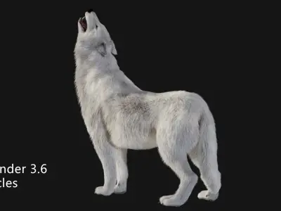 animated arctic wolf Low-poly 3D model