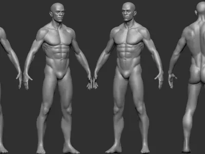 male body 3D model