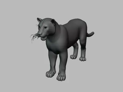 Leopard with Fur rigged  3D model