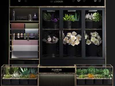 Refrigerated display for flowers-florist-flower shop decor set 3D model