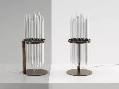 My Lamp Shade 3D model