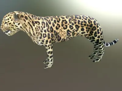 LEOPARD LOWPOLY jaguar Low-poly 3D model