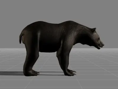 Bear v1 Low-poly 3D model