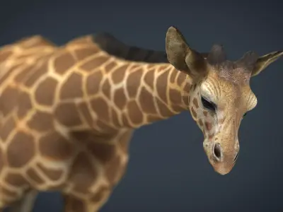 Giraffe Low-poly 3D model
