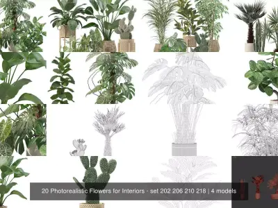 20 Photorealistic Flowers for Interiors - set 202 206 210 218 3D Model Collection