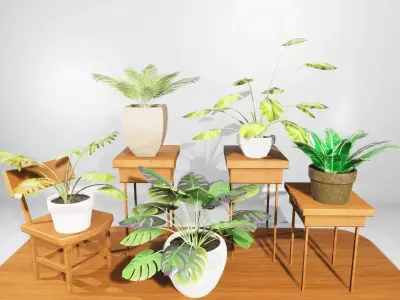 House Plants Collection Low-poly 3D model