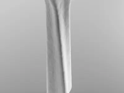 Organic Pillar Free 3D model