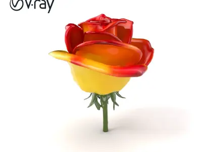 Rosa Bicolor Gradient Rose Flower model pack Low-poly 3D model