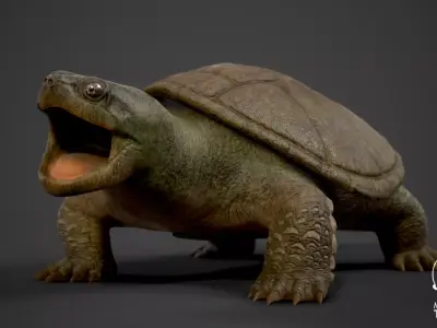 Common Snapping Turtle Low-poly 3D model