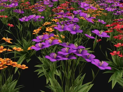 Flowers R11 3D model