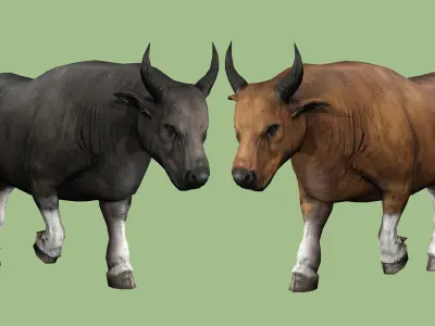 COW ANIMATED 4 COLORS 2 Low-poly 3D model