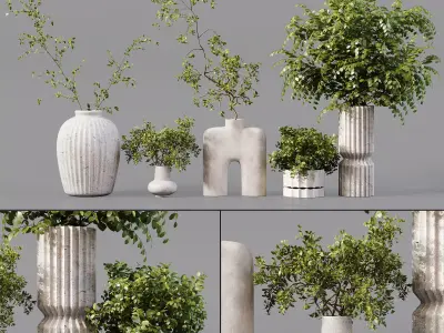 Collection Indoor Plants 019 3D model
