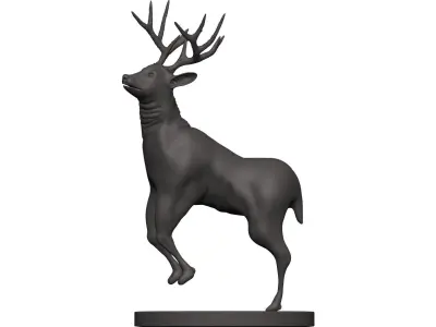 Mule Deer 3D model