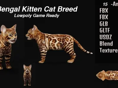 Bengal Kitten Cat Low-poly 3D model