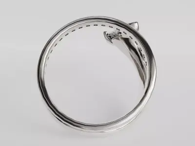 spiral ring 3D print model