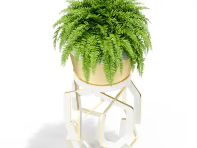 Plants collection 413 3D model