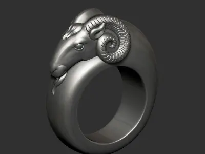 ram ring 3D print model