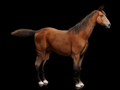 Horse Model 3D - Rigged - X-gen interactive grooming 3D model