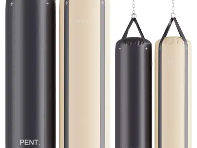 PENT luxury fitness equipment 3D model