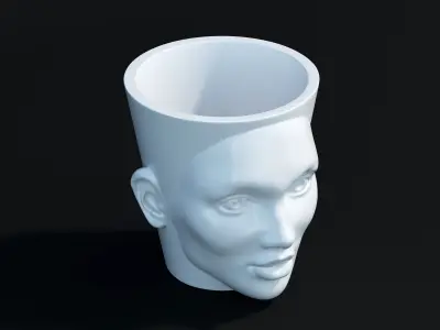 Flowers pot with face 3D print model