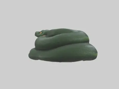 Sleeping Snake Model Low-poly 3D model