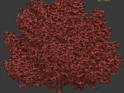 Maple tree 3D model