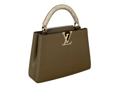 Louis Vuitton bag Capucines Khaki Snake Leather 3D model