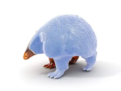 Armadillo D Model Pack with Textured Shell Low-poly 3D model