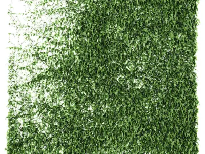 Set of 4 ivy models for walls or fence 3D model