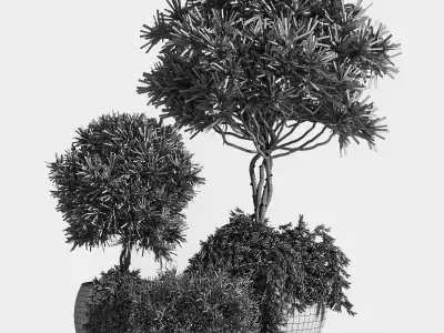Outdoor Plants tree 04 3D model
