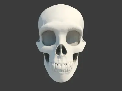 Skull Neanderthal 3D model