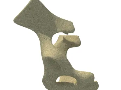 Animal Animal Pelvis  3D model