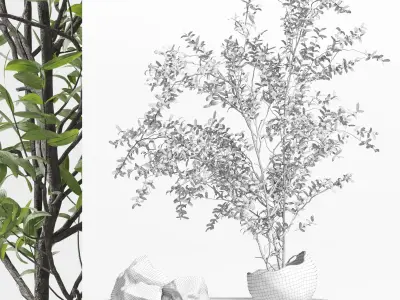 Pulm branch in dirty brown concrete vase - bouquet set 37 Low-poly 3D model