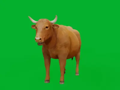 Limousin Cattle Low-poly 3D model