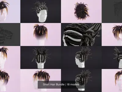 Short Hair Bundle 3D Model Collection