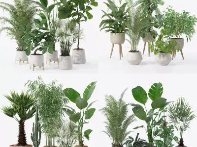 20 Photorealistic Flowers for Interiors - set 120 121 124 130 3D Model Collection