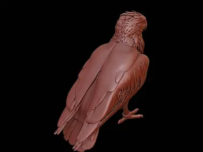 Eagle Animal Sculpture 3D print model