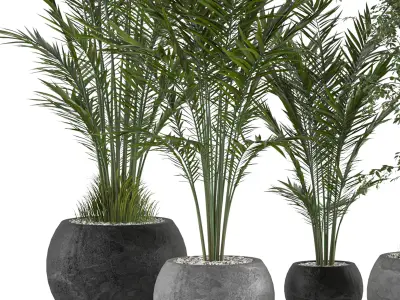Collaction Indoor plant vol 53 3D model