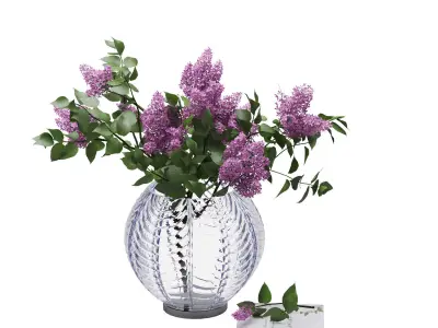 Lilak Vase  3D model